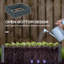 Avonleigh Metal Planter Box-1605308201