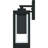 Wiebe 1-Light Earth Black Dark Sky Outdoor Wall Lantern-111149971