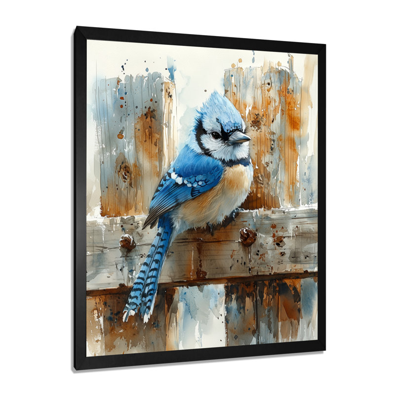 Bellino - animaux, art mural, Noir, H 20 po x l 12 po, Reproduction encadrée d'une seule photo
