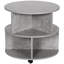 Anasthasie Coffee Table with Storage