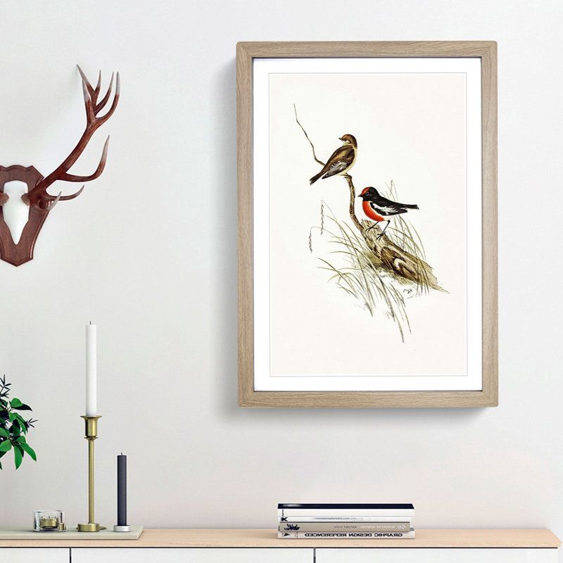 Red-Capped Robin by Elizabeth Gould - Picture Frame Painting Print, Oak Framed, 36cm H x 27cm W x 2cm D