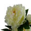 Plastic, Silk Peony Arrangement in Pot