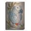  «Polly Parrot» par Bebe Keith, art mural en métal, 12 po x 16 po-88571084