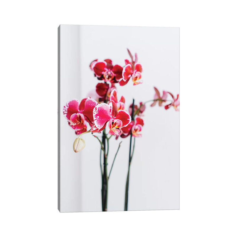 Positano Blooms II by Bethany Young - Print on Canvas, Wrapped Canvas, 45.72cm H x 30.48cm W x 1.91cm D