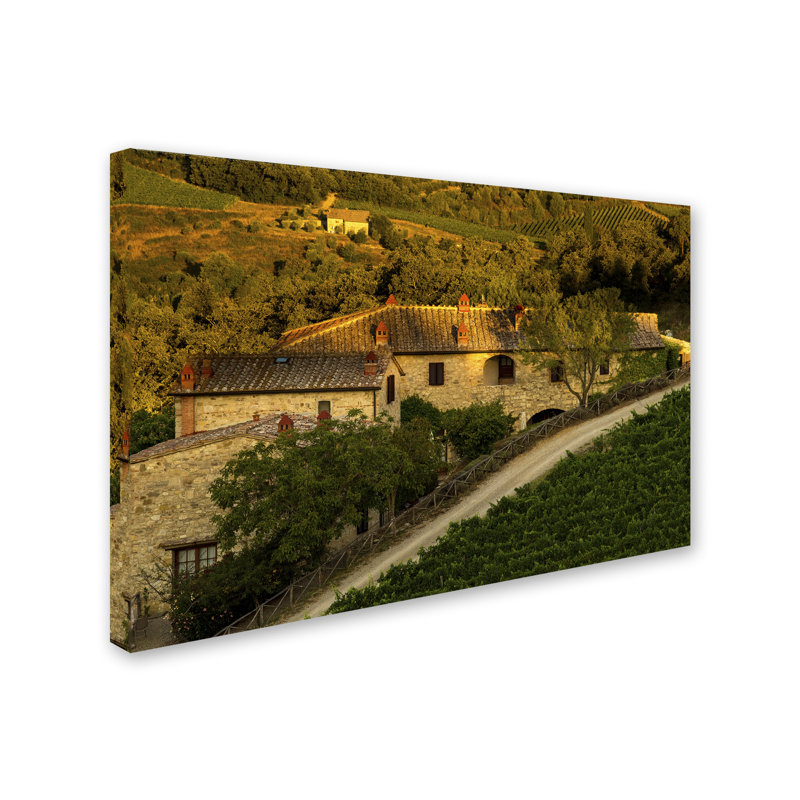 «Vineyard Evening» par Leeth, reproduction de photo sur toile tendue, H 12 po x l 19 po x P 2 po