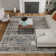Washable Oriental Indoor Rug