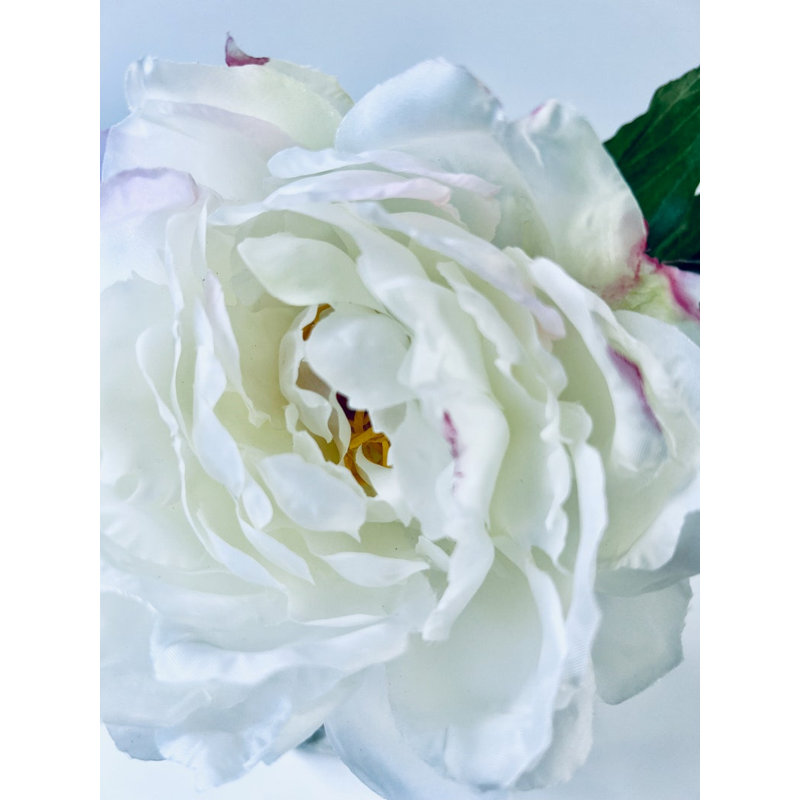 Peony Flower Arrangement in Glass Vase, White