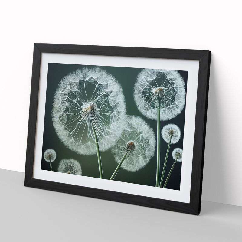 Joyful Dandelion Flowers - Single Picture Frame Print, Black Framed, 46cm H x 64cm W x 2cm D
