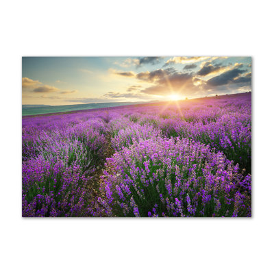 Lavender Field - Wrapped Canvas Print