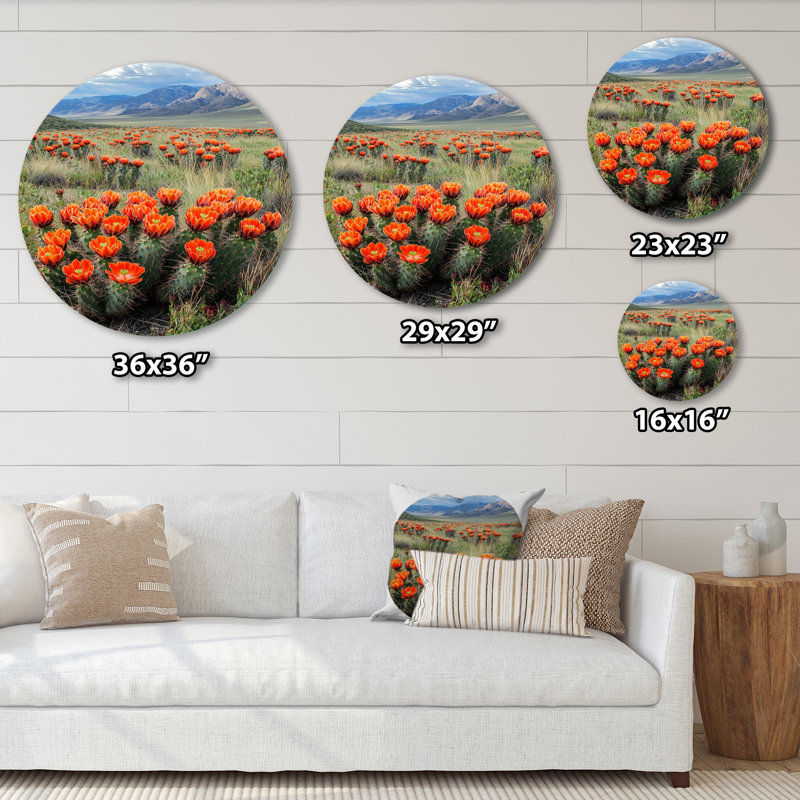 Linsey - Cactus rond, impression sur métal rouge traditionnel, H 16 po x l 16 po