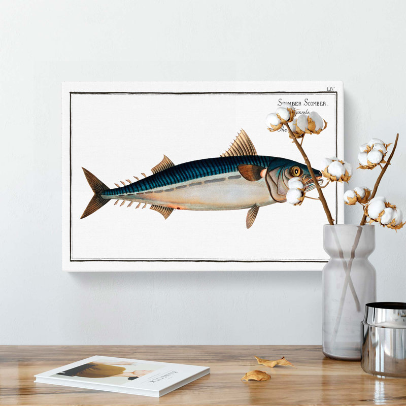 Mackerel Fish by M.E. Bloch - Wrapped Canvas, 35cm H x 50cm W x 3cm D