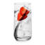 Verres à ruban Libbey Ascent Black Ribbon, 16 onces, ensemble de 8