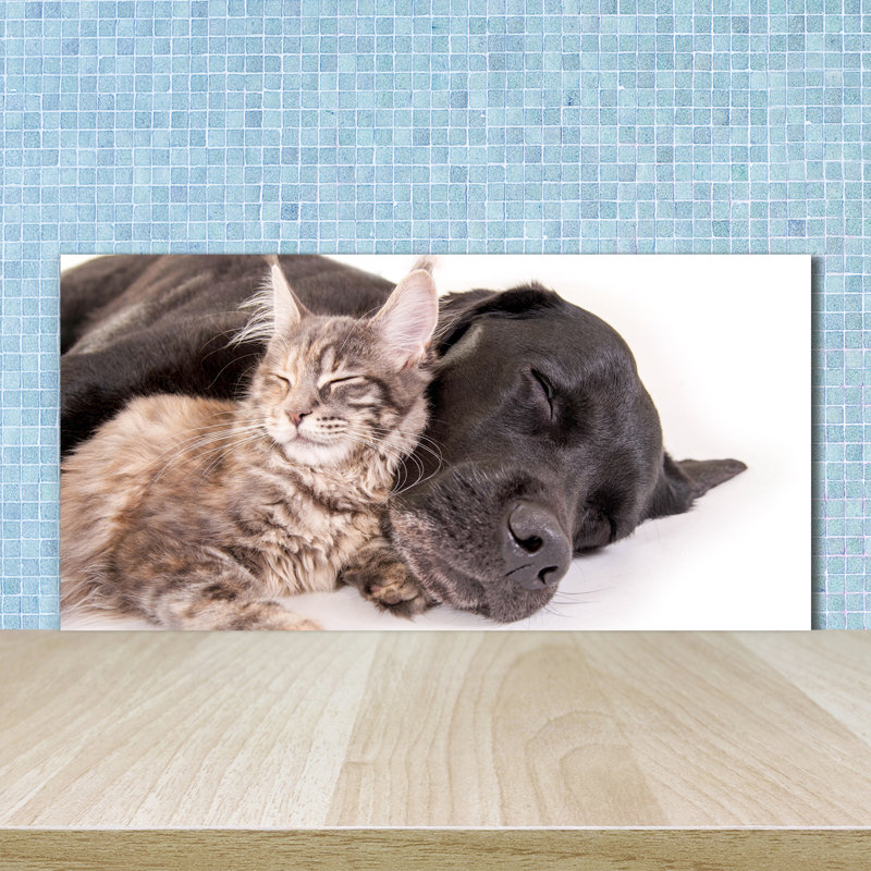 Loret 50cm W x 100cm L Glass Peel and Stick Panel