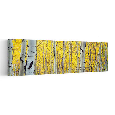 Aspen Trees In A Forest Abstract Contemporary Forest Nature Wall Art