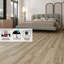 Colombe-125529384