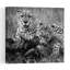Cheetah Family Meal Contemporary Cat Nature Wildlife Wall Art Print 1 Piece Wrapped Canvas Wall Art-1205444867