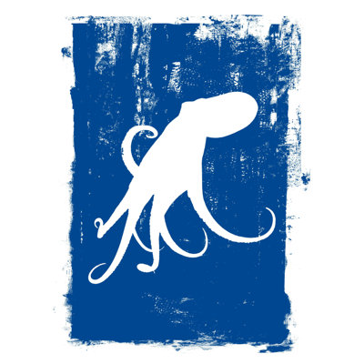 " The Octopus On A Blue Background "