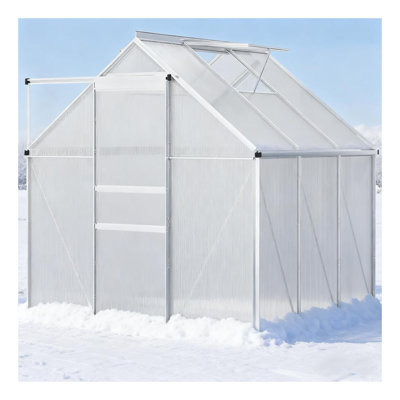 Serre en aluminium argenté avec cadre robuste (l 6,2 pi x P 6,2 pi x H 6,6 pi)