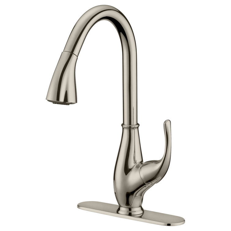 LessCare Pull Out Kitchen Faucet