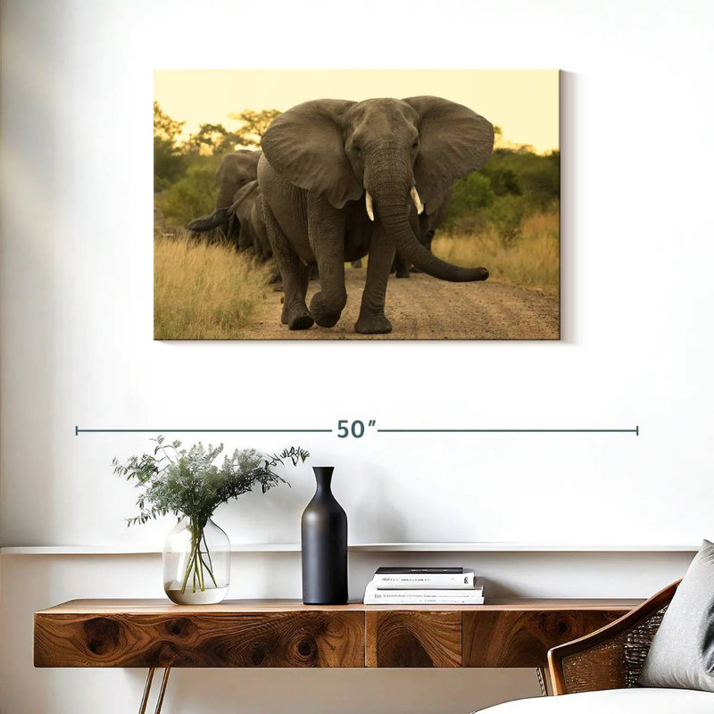 Brampt The Elephant Walk