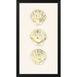 Gold Leafed Trio Large Scalloped Shell Painting