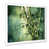 White Single Picture Framed