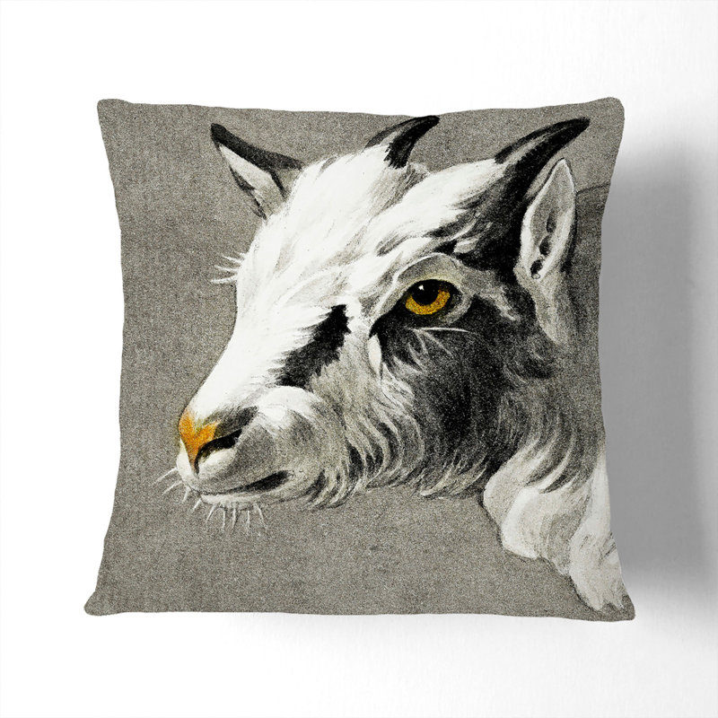 Square Cushion, 55cm H x 55cm W x 20cm D
