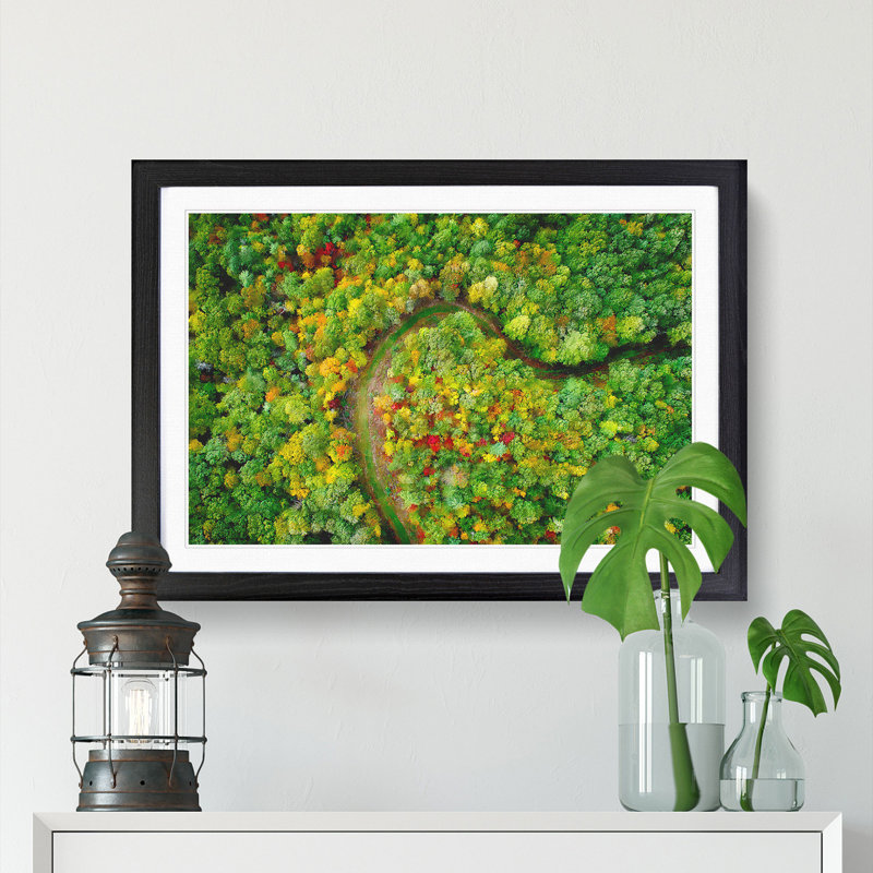 Road Through the Forest - Picture Frame Painting Print, 45cm H x 63cm W x 2cm D, Black Framed