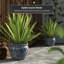 Pot à fleurs en porcelaine Prunty-2109812820