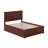 Jeinny Full Size Solid Wood Platform Bed with Full Size Trundle Bed-1365075782