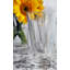 Napoleon Bee Drinking Glass