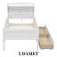 Lit plateforme simple en bois avec lumière DEL intégrée, tête de lit multifonctionnelle, 2 tiroirs-110603045