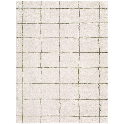 Moroccan Area Rug
