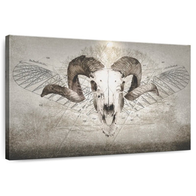 Kerner Ram Skull