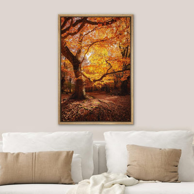 Autumn Fall " Autumn Yellow Orange Leaf Big Oak Tree Forest "
