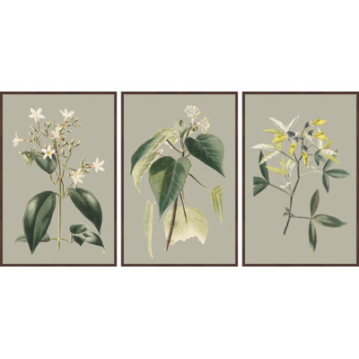 Tiny Blooms 3-Piece Print on Canvas