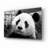 " Giant Panda " by SD Smart-1139885398