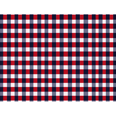Gingham Comforter