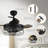 Caselli 36'' Ceiling Fan with Light Kit