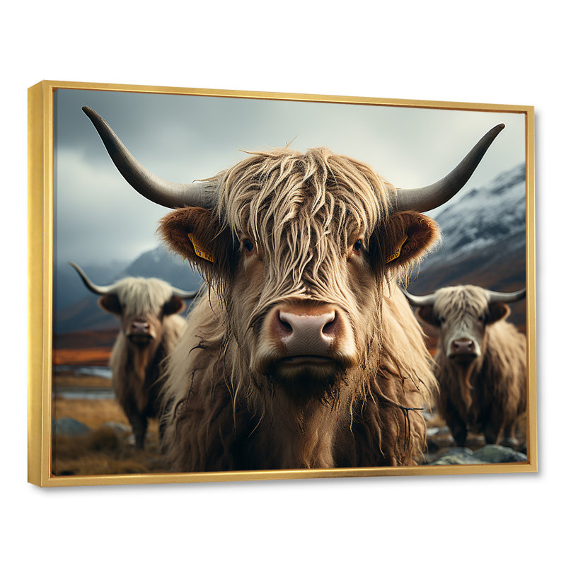 Majestic Highlands Yaks sur toile, H 24 po x l 32 po x P 1 po, Cadre flottant doré
