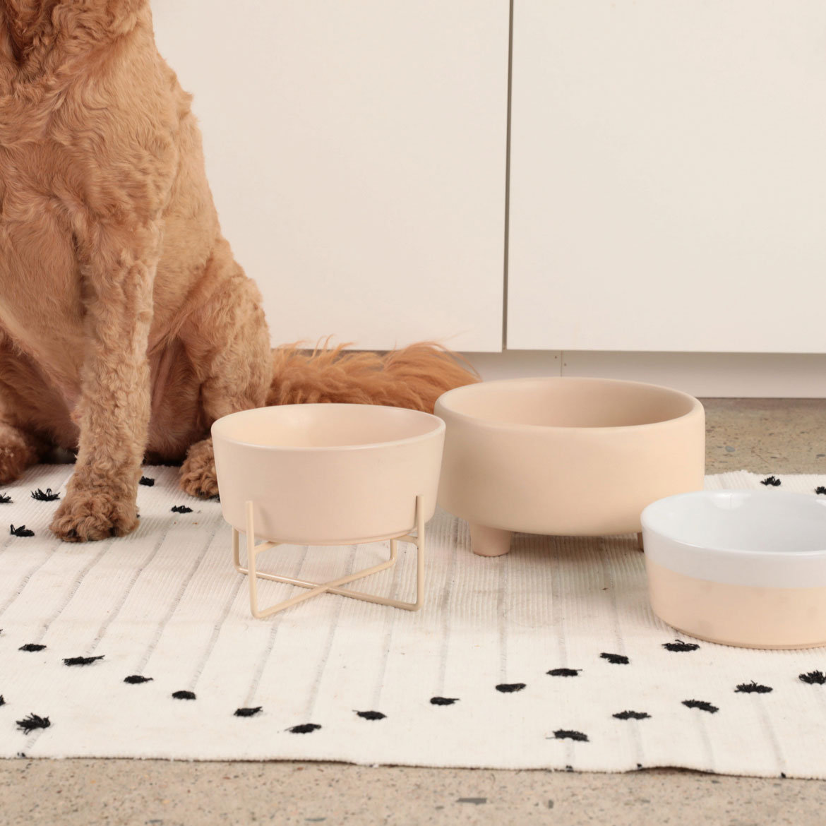 Uplift Ceramic Dog Bowl, Buttercream, Large (8 cups / 64 fluid oz)
