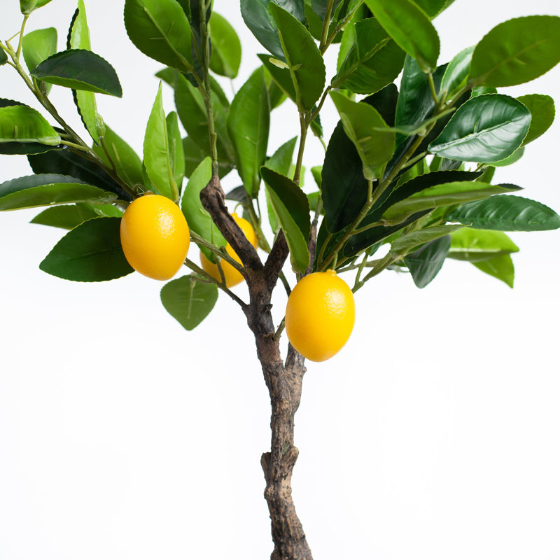 23.5'' Faux Lemon Tree in Concrete Pot