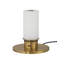 Viaggio Cordless Floor Lamp
