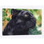 « panther », impression sur toile-32498294-72115026-72115027