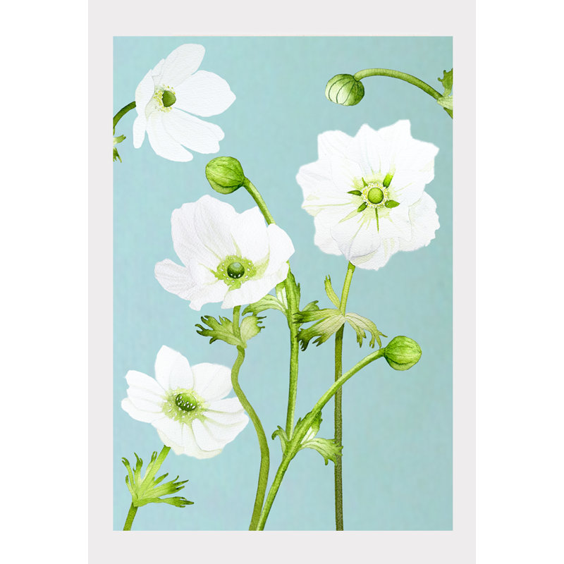 Plants & Flowers, 11" H x 8.5" W