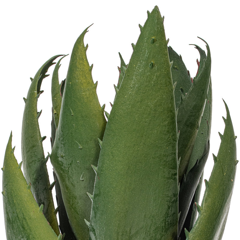 11.5'' Faux Succulent