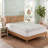 Ella Jayne Allergy-Free Bamboo Mattress Protector with Waterproof Lining Protection - Twin Size-1635570807