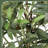 Olive Tree in Pot with Realistic Leaves and Natural Trunk,Olive Plants with Fruits for Home Decor-933122958