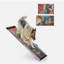 Rampe rétractable pour chien en aluminium pour voitures, camions, marches pour animaux de compagnie antidérapantes portatives avec motifs colorés