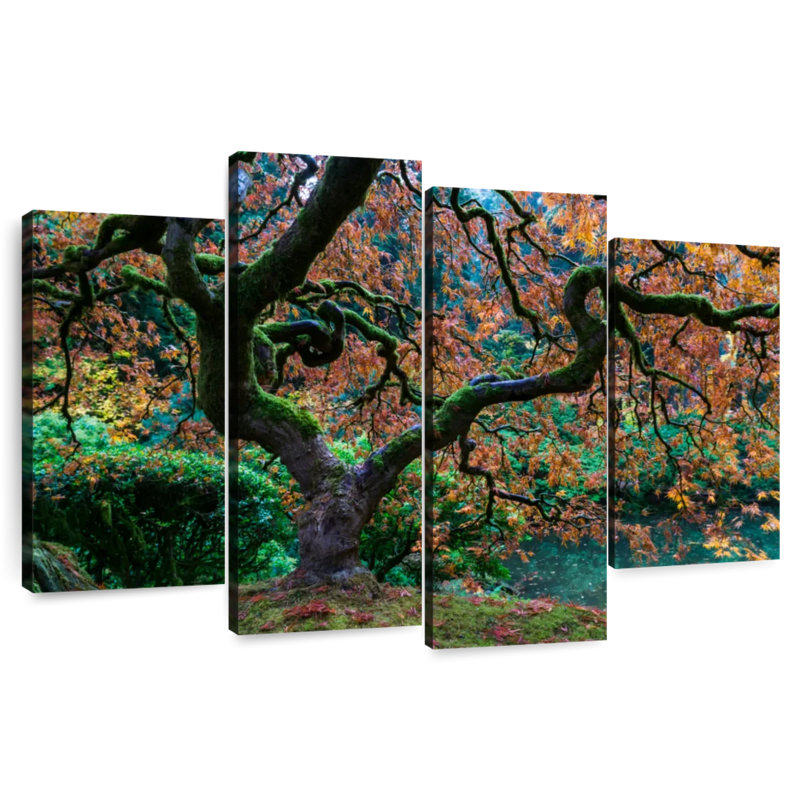 Harnek Japanese Maple Foliage, 27" H x 43" W
